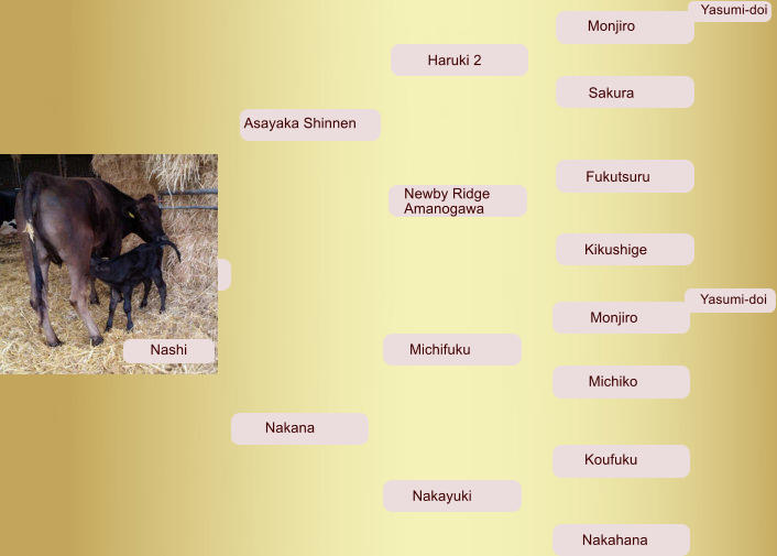 Yasumi-doi Yasumi-doi Monjiro Sakura Asayaka Shinnen Haruki 2  Newby Ridge  Amanogawa Fukutsuru   Kikushige         Nashi       Nakana   Michifuku    Monjiro    Michiko Nakayuki   Koufuku  Nakahana    Nashi
