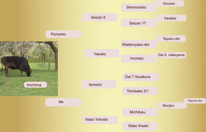 Irochima Ille Itomichi Iiiabo Yohodo        Yasuko Kiyoyasu Seizan 6 Illabo Kiseki  Dai 7 Itozakura  Tomisake 2/1  Michifuku   Kitateruyasu-doi   Tayasu-doi       Imoridoi  Dai 5  nakayama Housan Shinmoridoi  Kedaka Seizan 17      Monjiro Yasumi-doi
